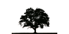 Logo Bureau Schuttersveld - ùw partner in talentontwikkeling & organisatieadvies