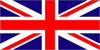 Business English Support