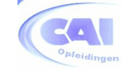 Logo HINFON-CAI