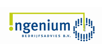Logo Ingenium Bedrijfsadvies B.V.