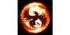 Logo Phoenix Protection Systeem