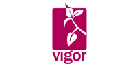 Logo Vigor Groep Training & Advies